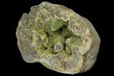 Yellow Crystal Filled Septarian Geode ( lbs) - Utah #135444-3